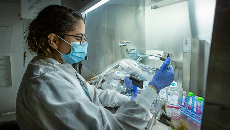Bioenergetics Research